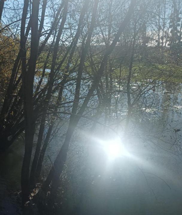 Photo of Others in Dieue-sur-Meuse