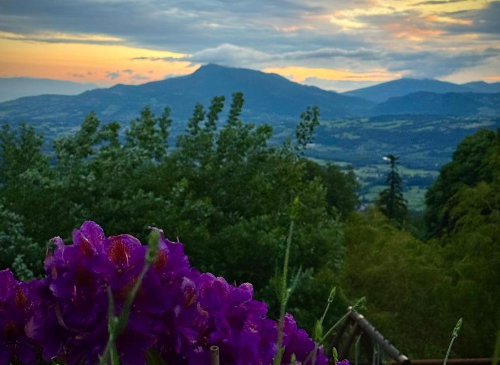 Photo of Others in La Roche-sur-Foron