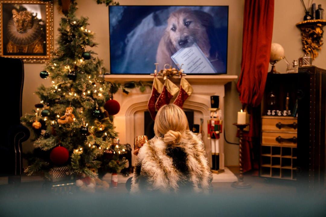 Photo of Others in Layer de la Haye