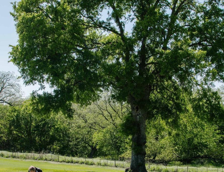 Photo of Others in San Saba