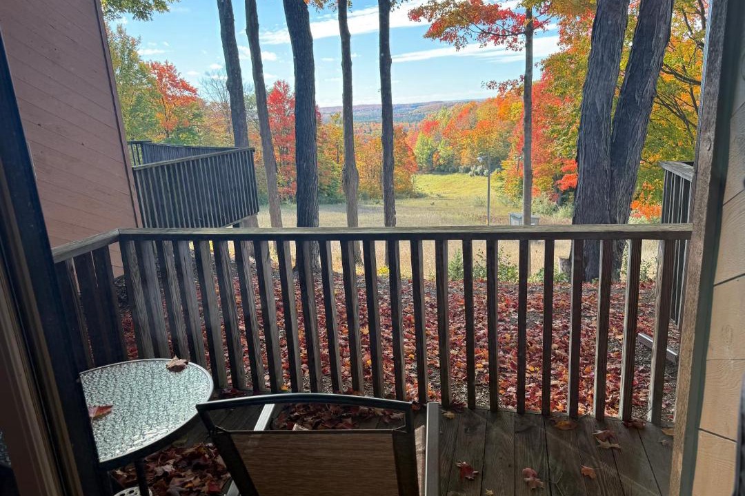 Photo of Patio Balcony in Bellaire
