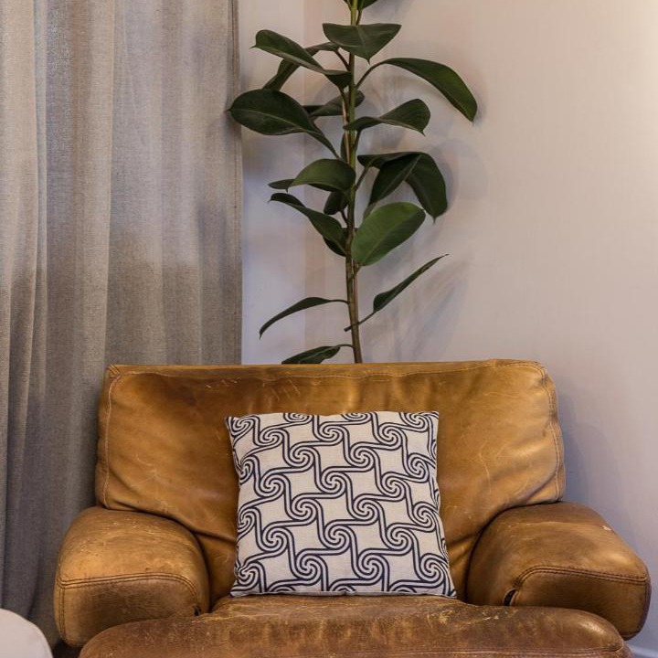 Photo of Others in La Roche-de-Glun