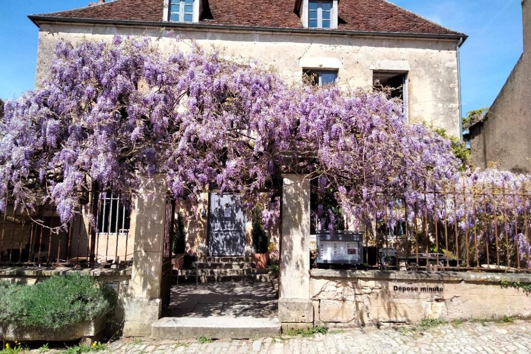 Photo of Others in Vezelay