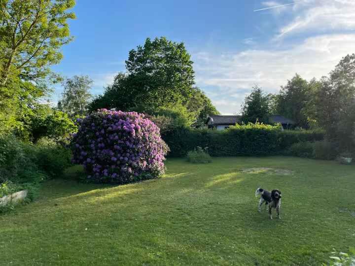 Photo of Others in Holbaek