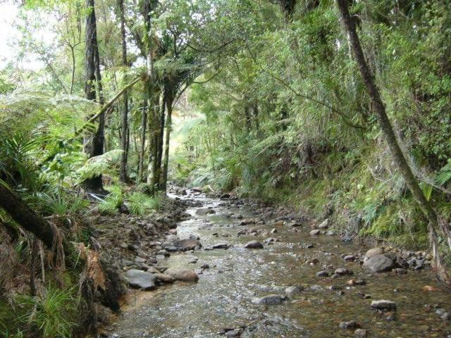 Photo of Others in Amodeo Bay