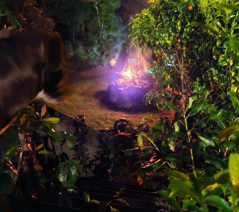 Photo of Others in Amodeo Bay