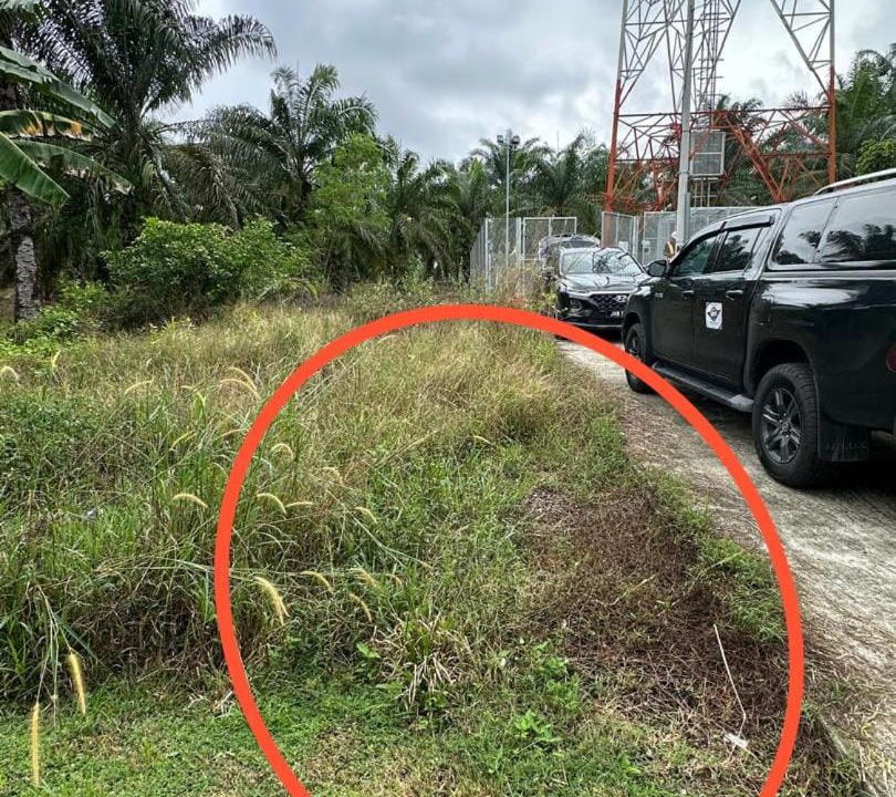 Photo of Others in Bukit Baru