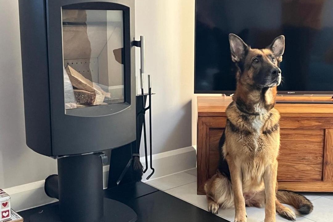 Photo of Others in Winterborne Kingston