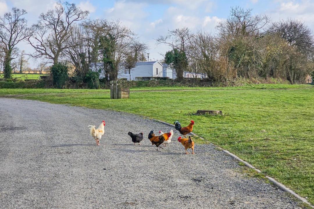 Photo of Others in Litteau