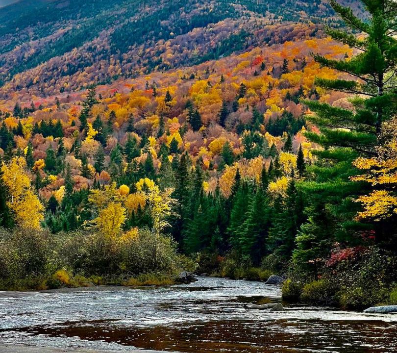 Photo of Others in Island Falls