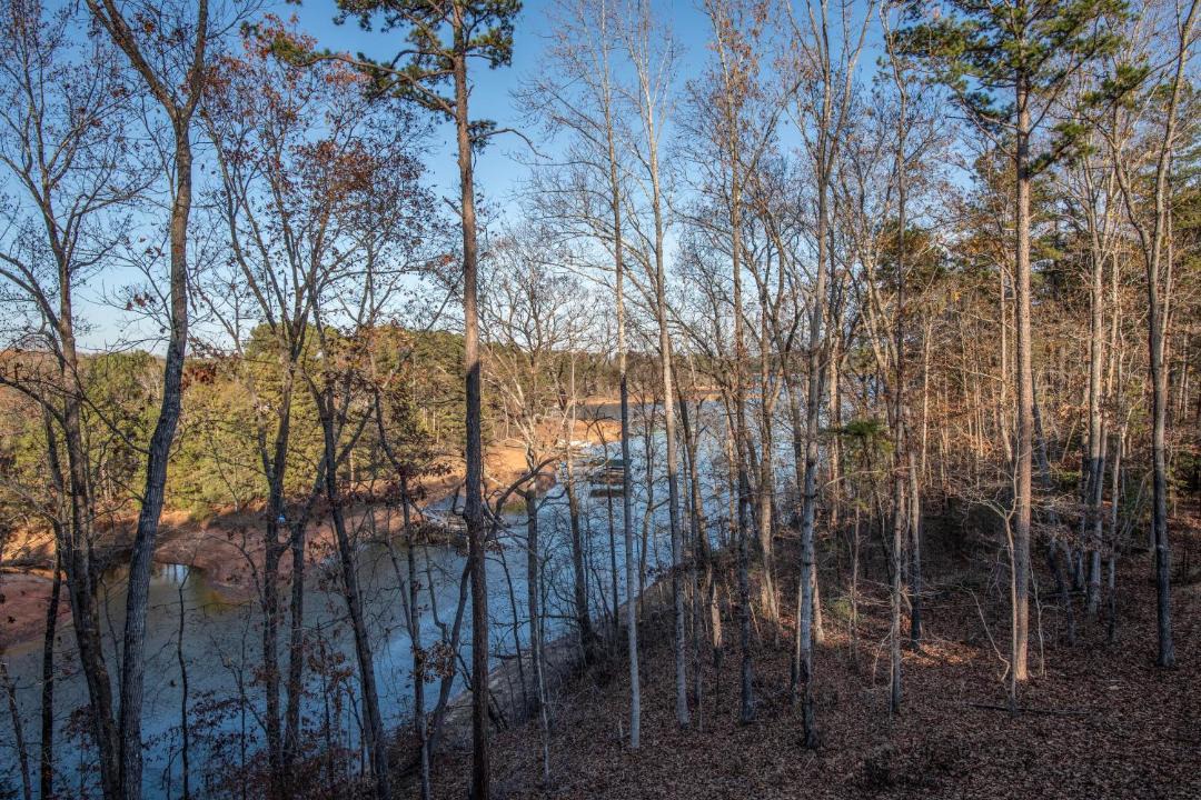 Photo of Others in Reed Creek