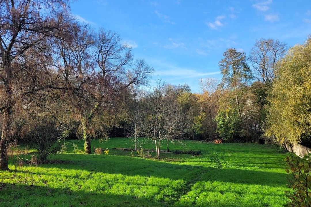 Photo of Others in Langeais