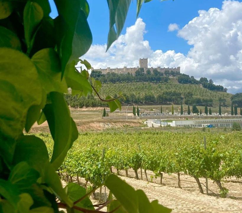 Photo of Others in Penafiel