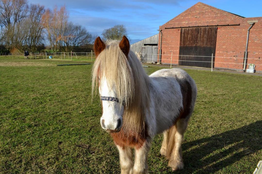 Photo of Others in Selby