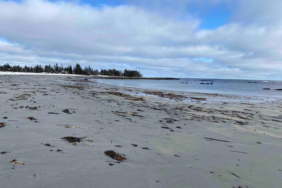 Photo of Others in Queens