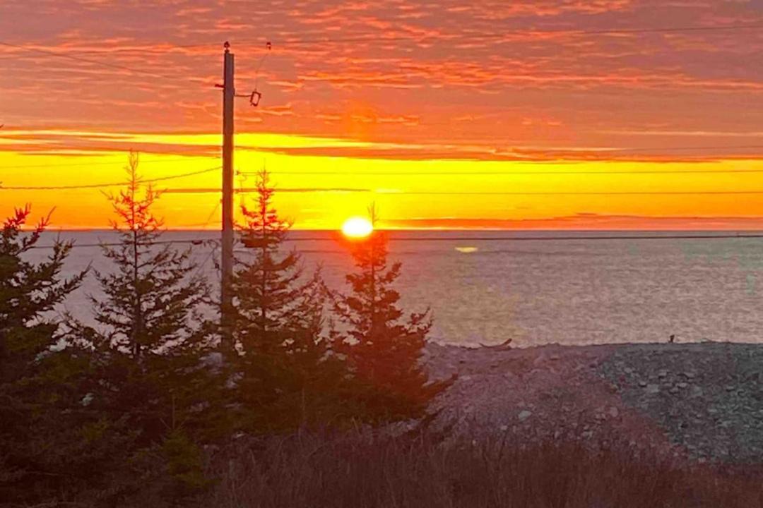 Photo of Others in Queens