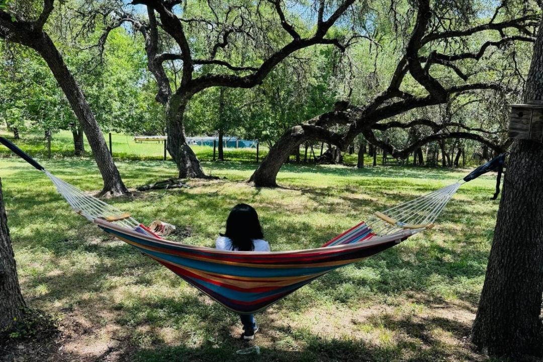 Photo of Others in Slaughter Creek Acres