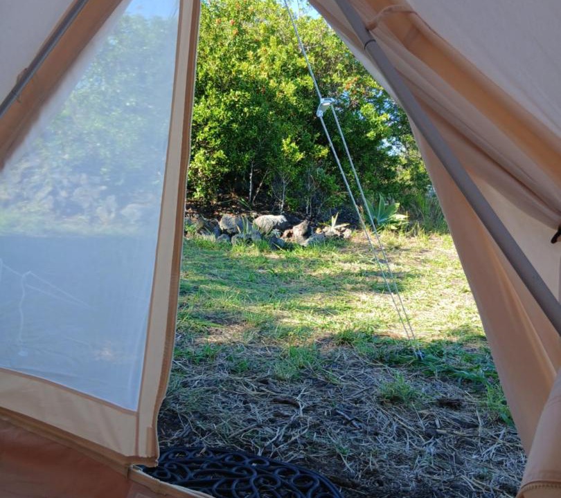 Photo of Others in Discovery Harbour