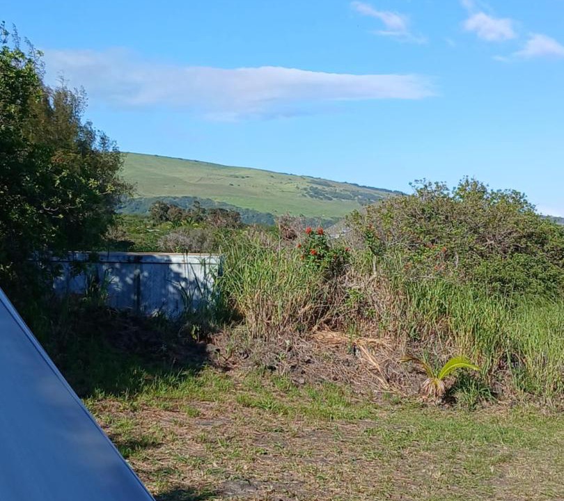 Photo of Others in Discovery Harbour