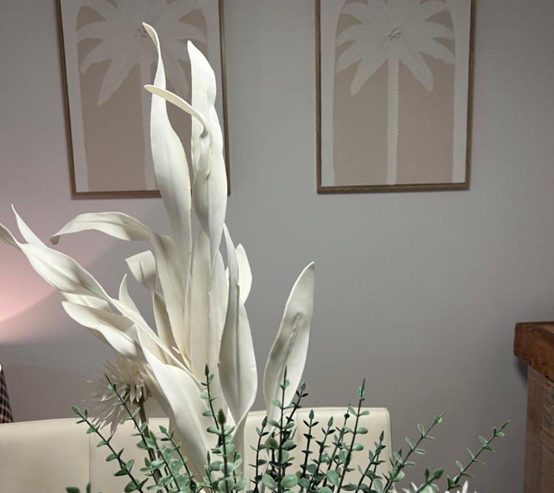 Photo of Others in Ettalong Beach