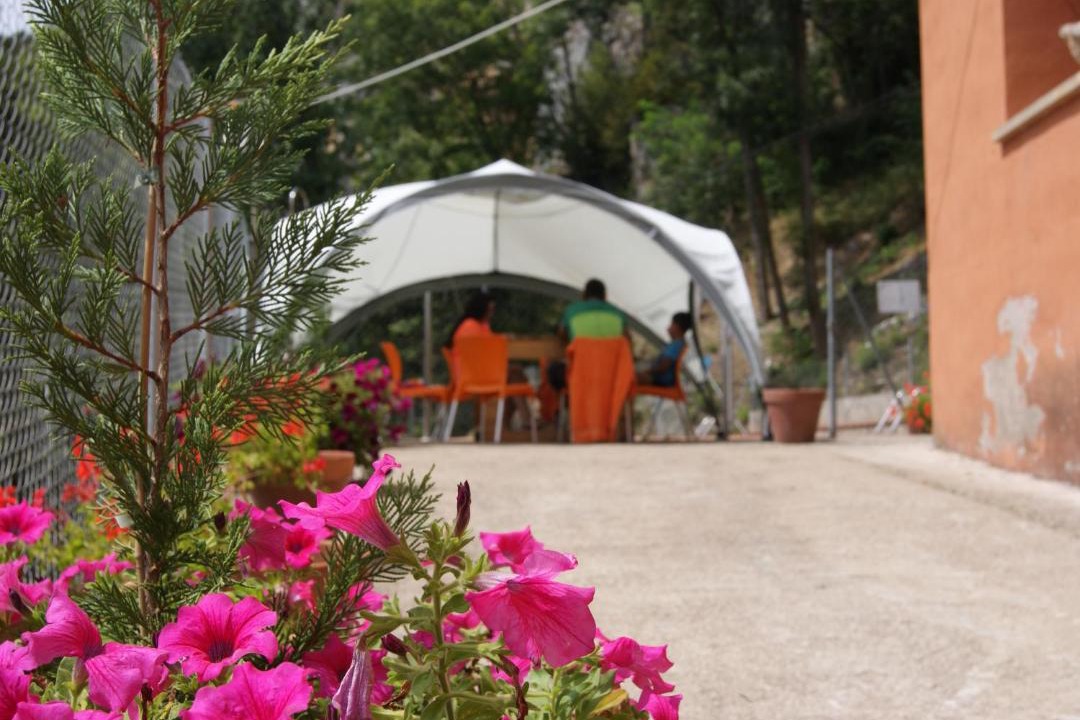 Photo of Others in Ribes De Freser