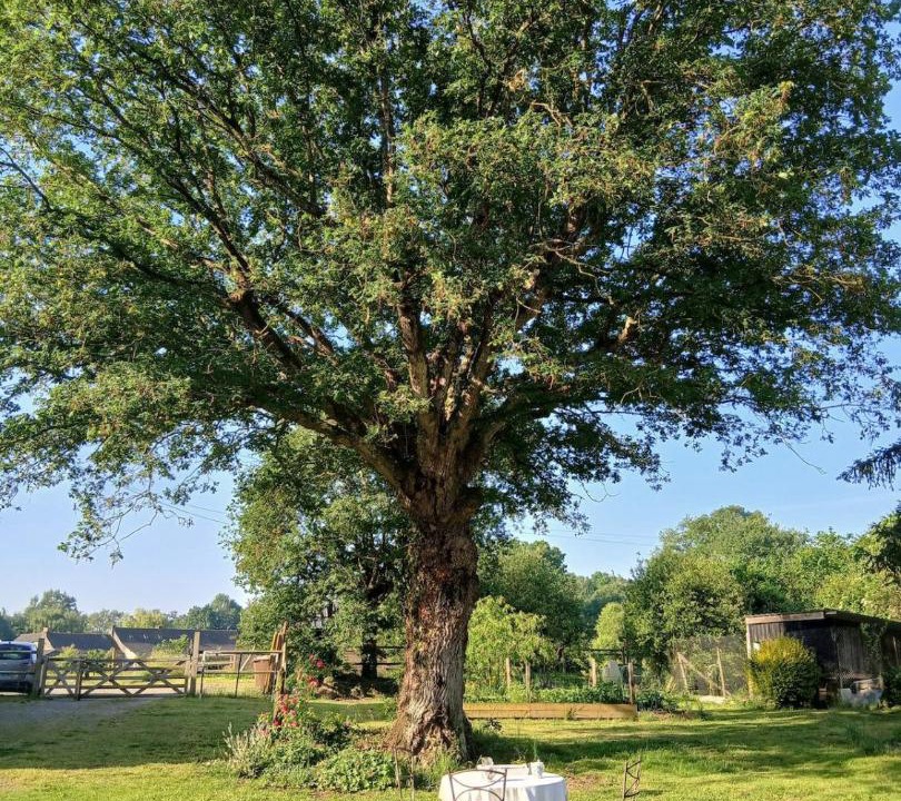 Photo of Others in Conquereuil