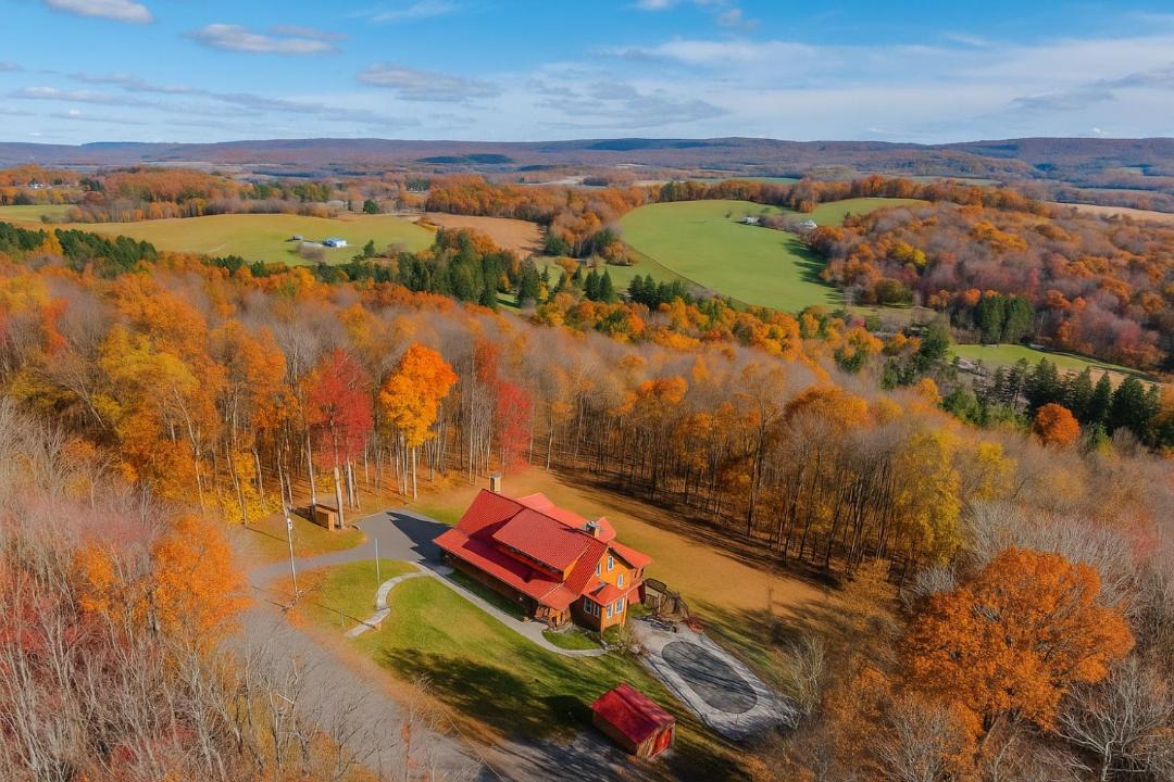 Photo of Others in Crellin