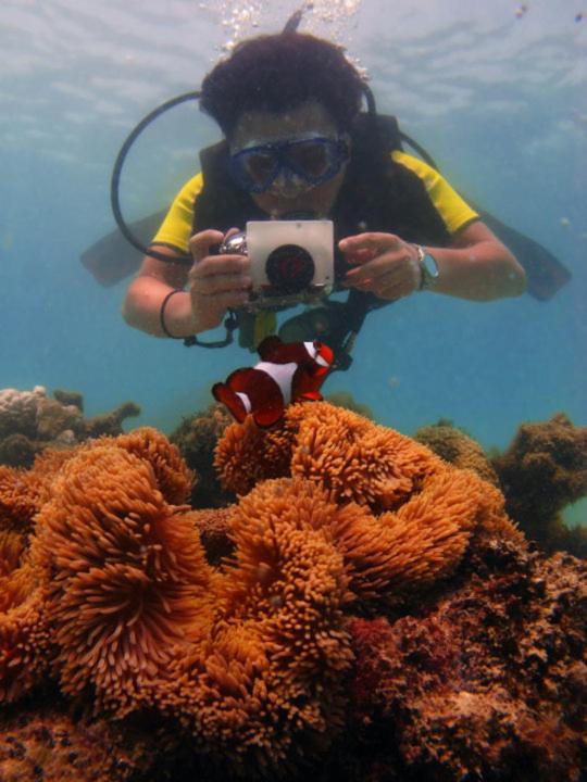 Photo of Human In Picture in Pulau Perhentian Besar