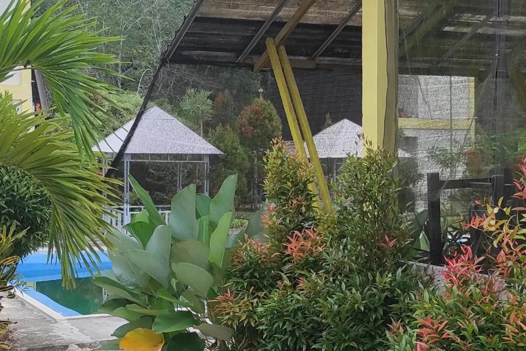 Photo of Others in Samarinda