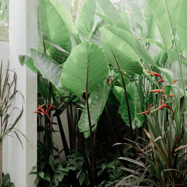 Photo of Others in Kediri