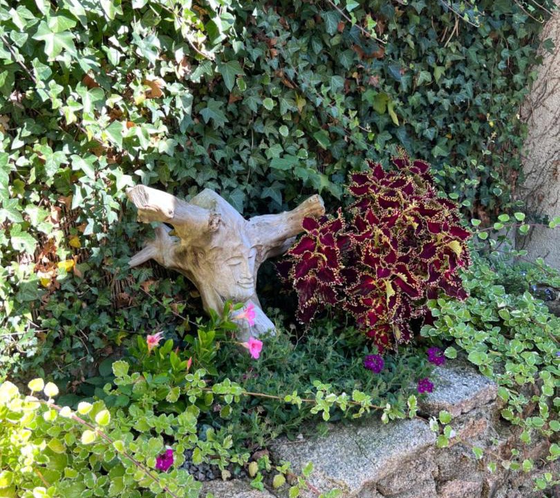 Photo of Others in Bersac-sur-Rivalier