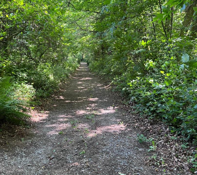 Photo of Others in Bersac-sur-Rivalier