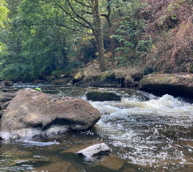 Photo of Others in Bersac-sur-Rivalier