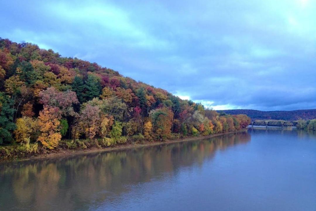 Photo of Others in Johnson City