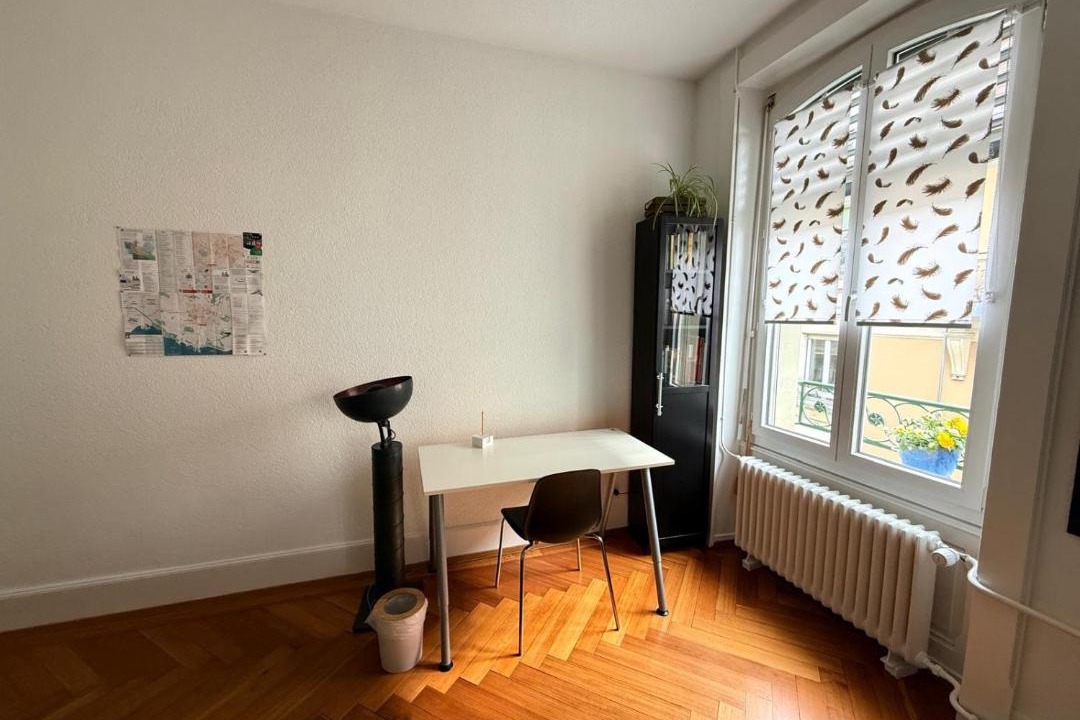 Photo of Others in Lausanne Center