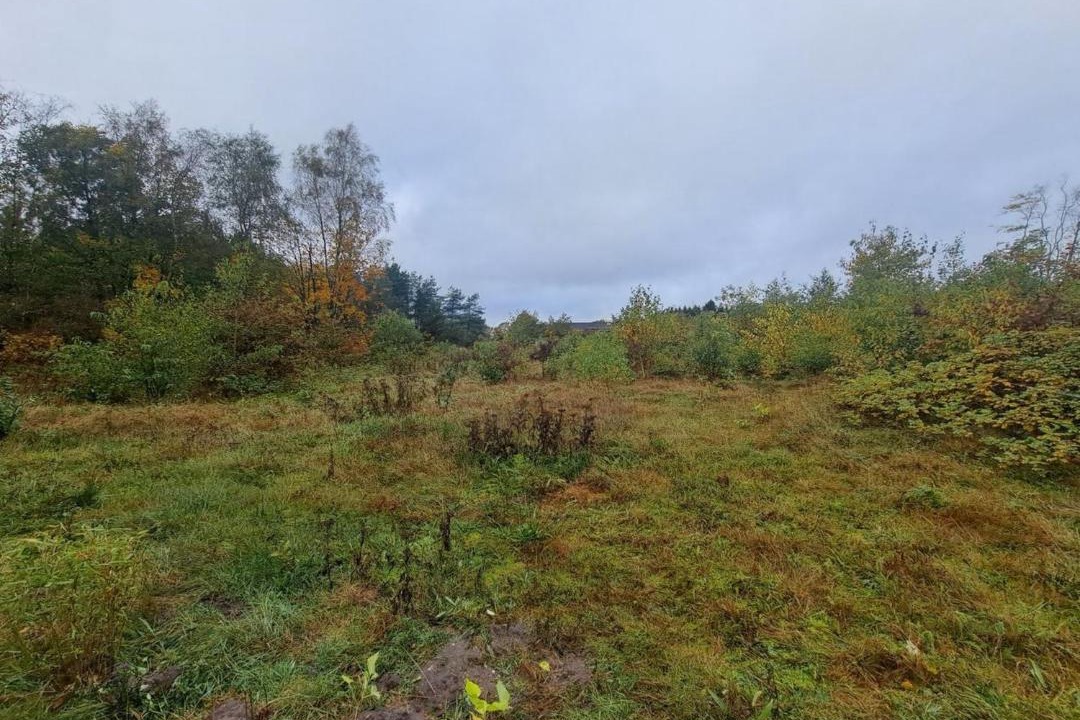 Photo of Others in Krejbjerg