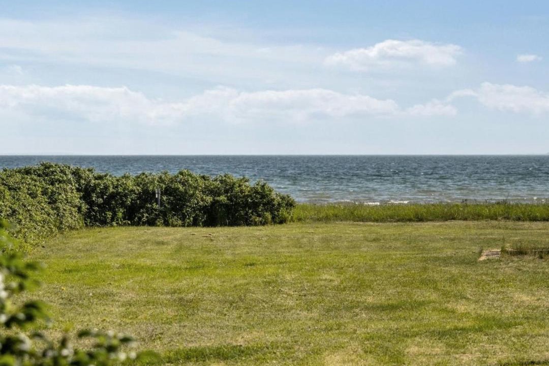 Photo of Others in Vejlby Fed