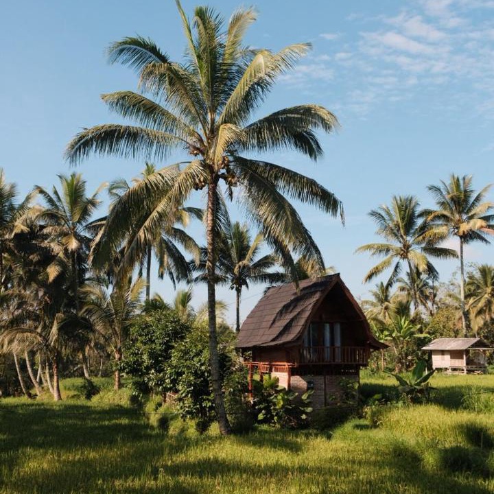 Photo of Others in Tetebatu
