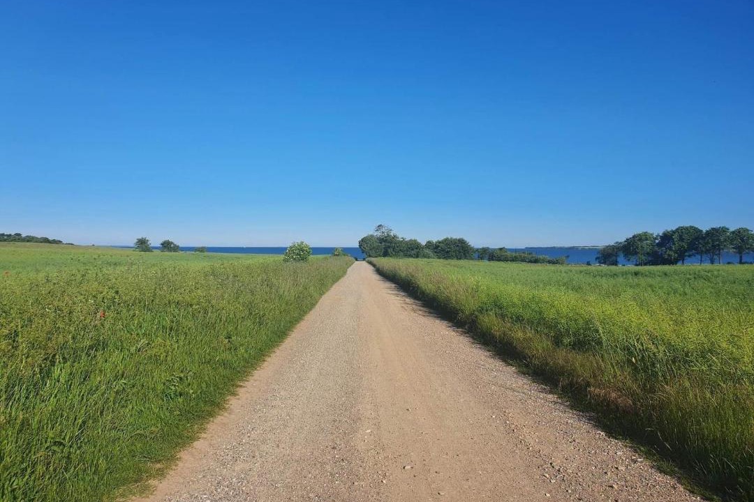 Photo of Others in Bøjden