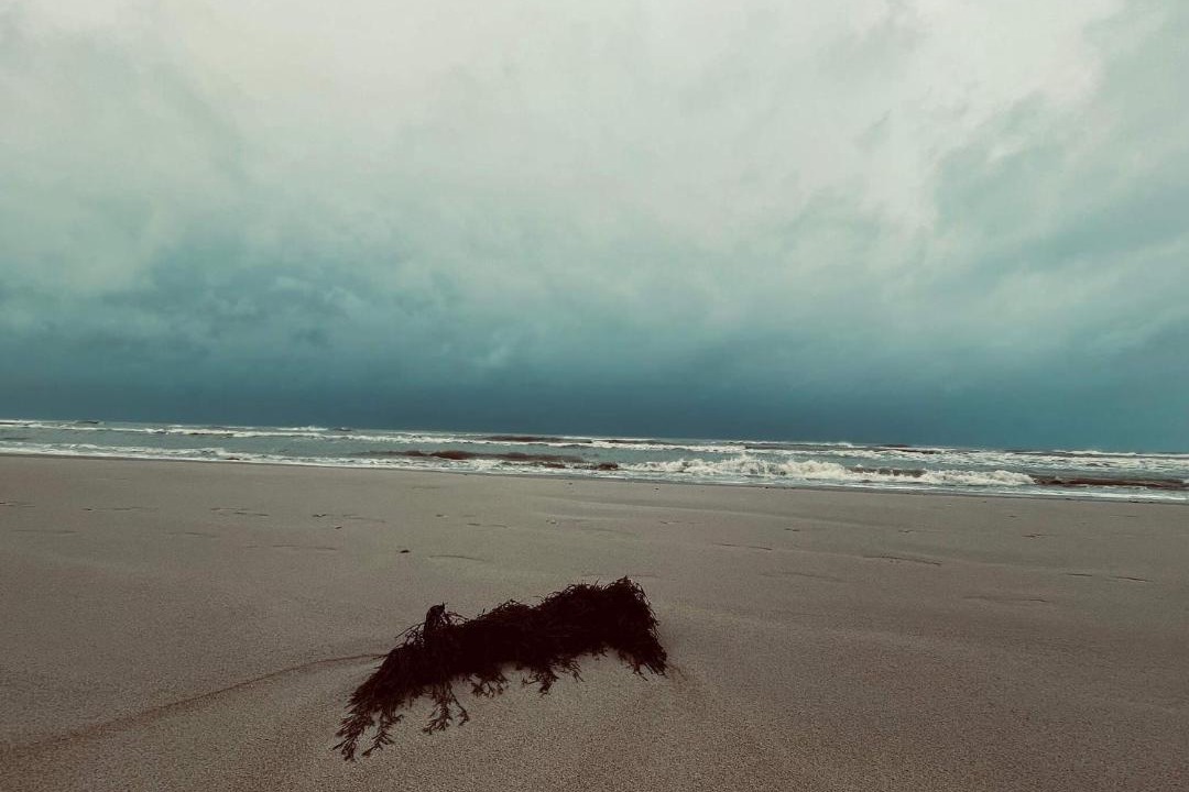 Photo of Human In Picture in Grønhøj