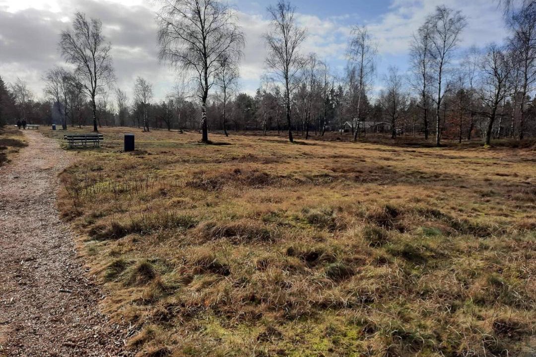 Photo of Others in Hojslev