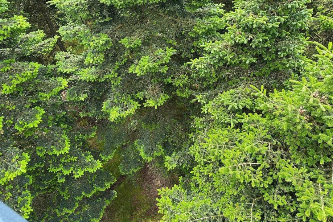 Photo of Others in Hovborg