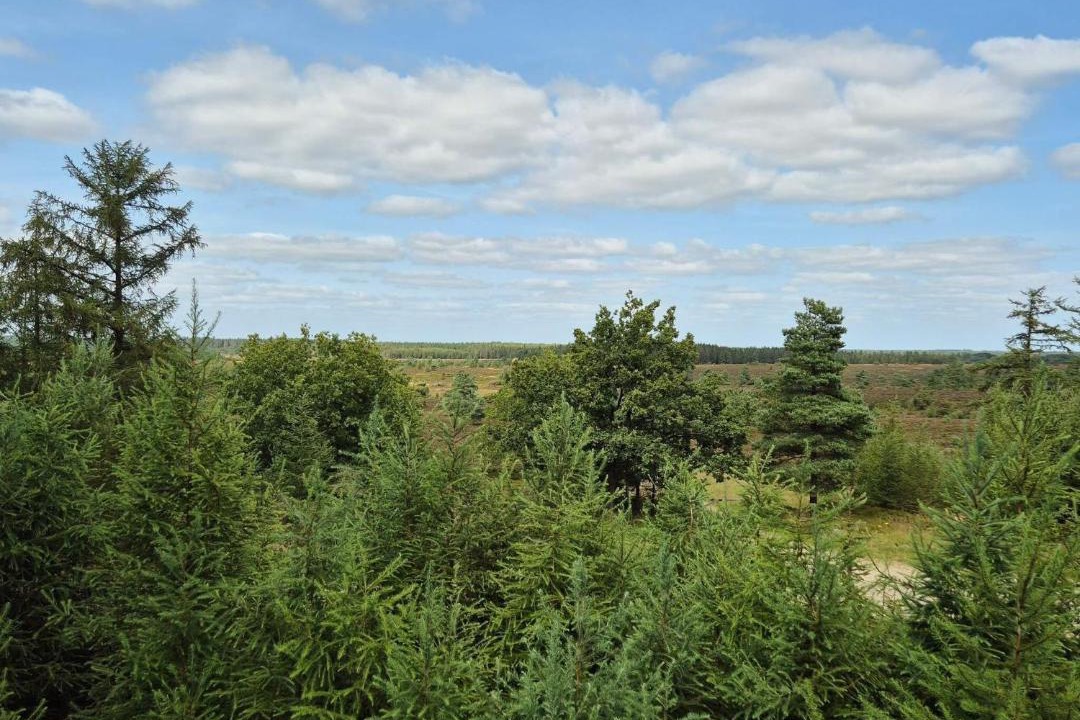 Photo of Others in Hovborg