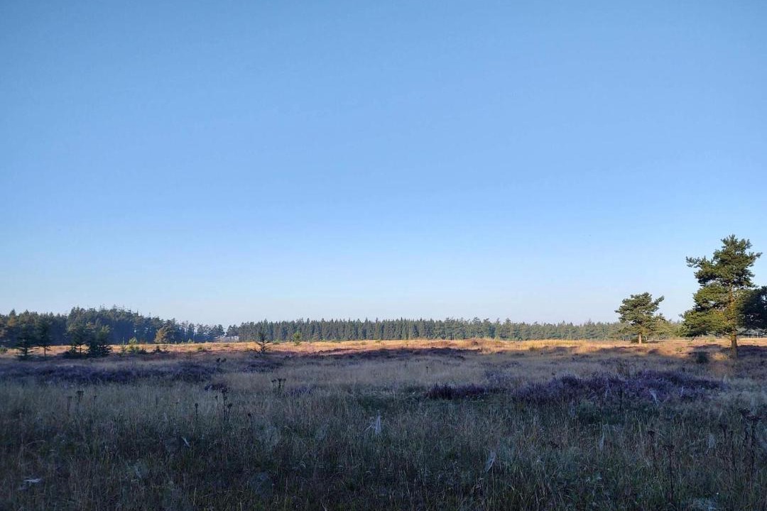 Photo of Others in Hovborg