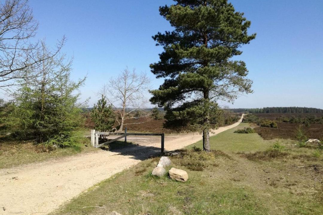 Photo of Others in Hovborg
