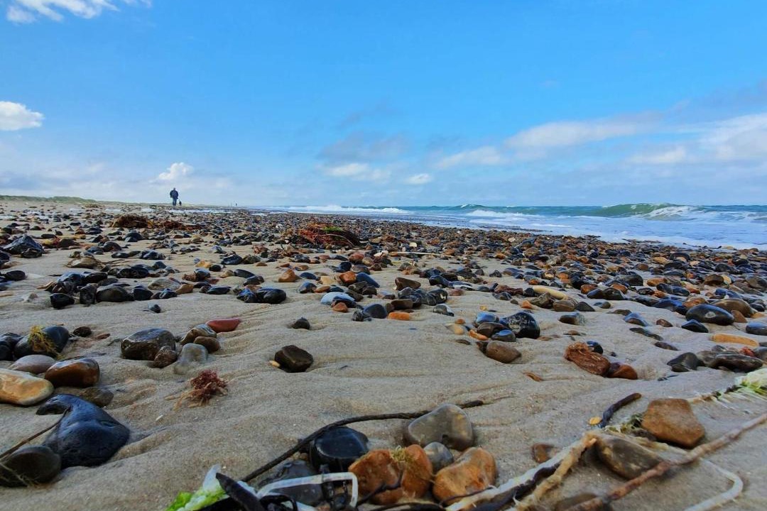 Photo of Others in Torup Strand