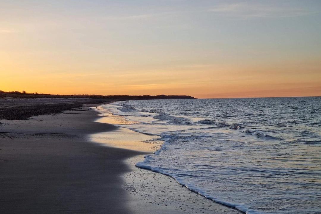 Photo of Others in Torup Strand