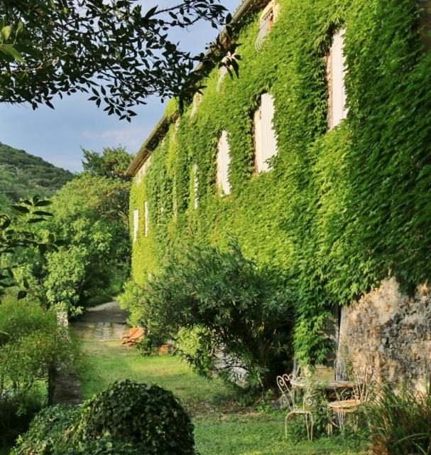 Photo of Others in Saint-Thome