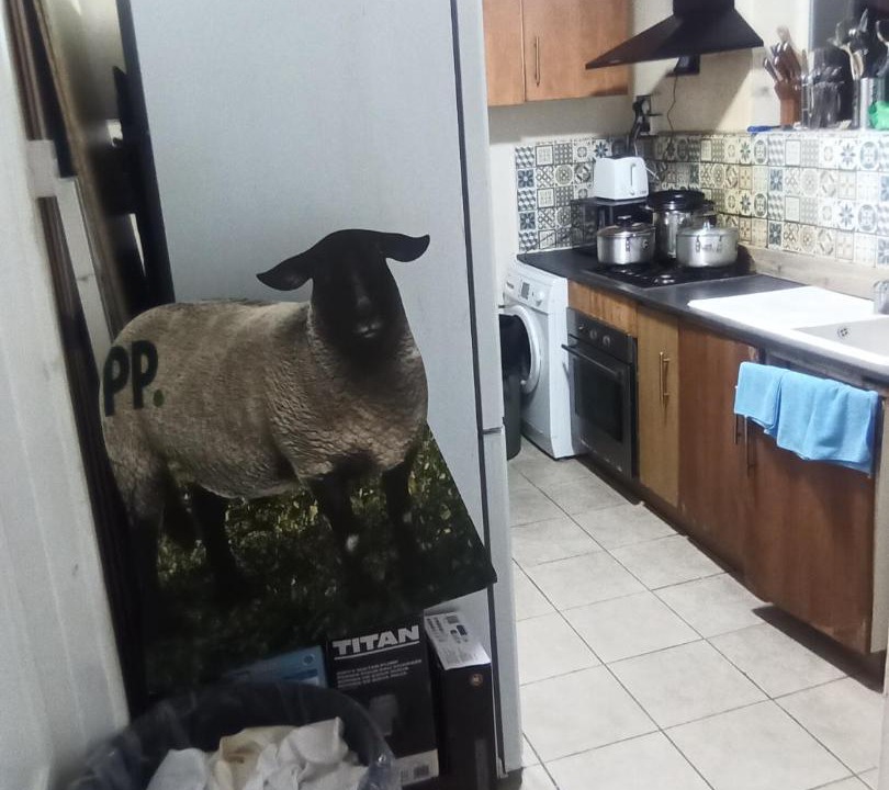 Photo of Kitchen in Kidbrooke with Hornfair