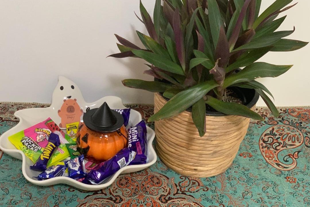 Photo of Others in Mount Colah